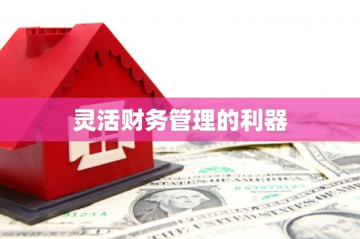 湖滨灵活财务管理的利器