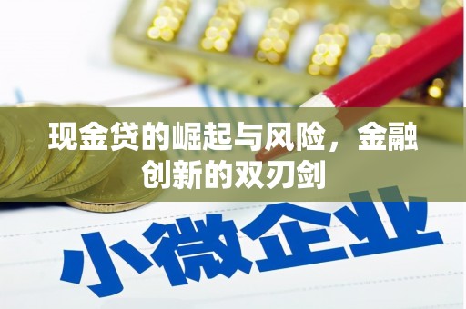 湖滨现金贷的崛起与风险，金融创新的双刃剑