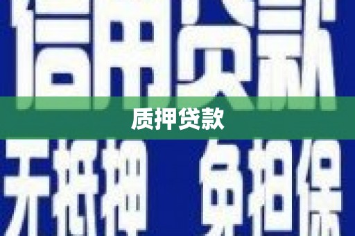 湖滨质押贷款