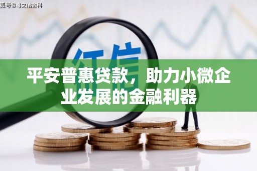 湖滨平安普惠贷款，助力小微企业发展的金融利器