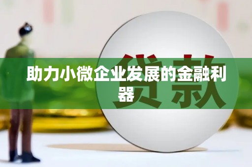 湖滨助力小微企业发展的金融利器