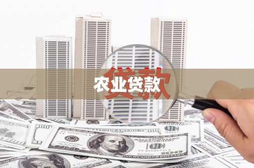 湖滨农业贷款