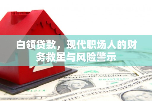 湖滨白领贷款，现代职场人的财务救星与风险警示