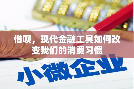 湖滨借呗，现代金融工具如何改变我们的消费习惯