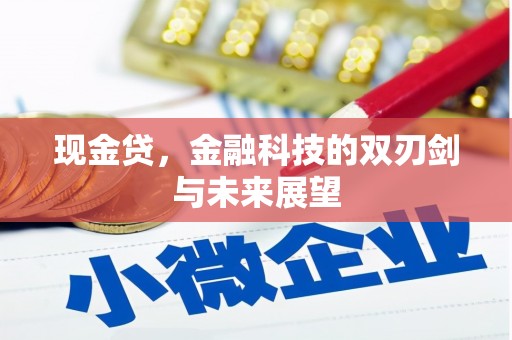 湖滨现金贷，金融科技的双刃剑与未来展望