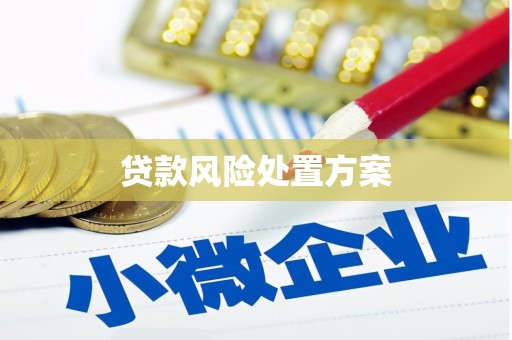 湖滨贷款风险处置方案