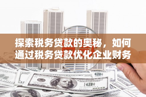 湖滨探索税务贷款的奥秘，如何通过税务贷款优化企业财务