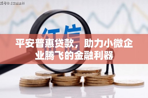 湖滨平安普惠贷款，助力小微企业腾飞的金融利器