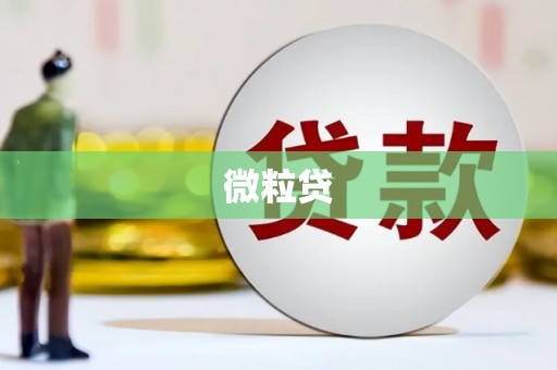湖滨微粒贷