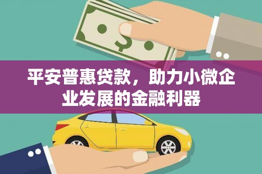 湖滨平安普惠贷款，助力小微企业发展的金融利器
