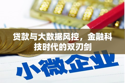 湖滨贷款与大数据风控，金融科技时代的双刃剑