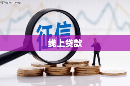 湖滨线上贷款
