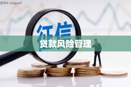湖滨贷款风险管理