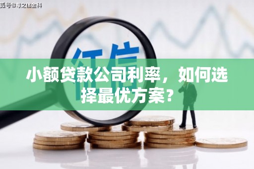 湖滨小额贷款公司利率，如何选择最优方案？