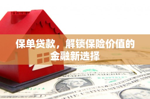 湖滨保单贷款，解锁保险价值的金融新选择