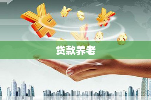 湖滨贷款养老