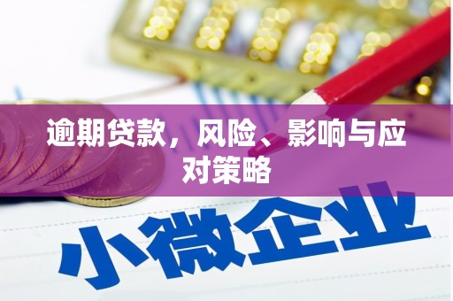 湖滨逾期贷款，风险、影响与应对策略