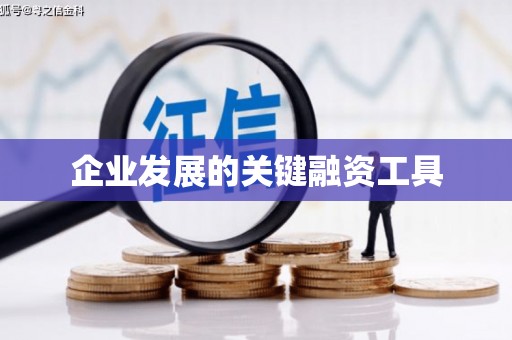 湖滨企业发展的关键融资工具