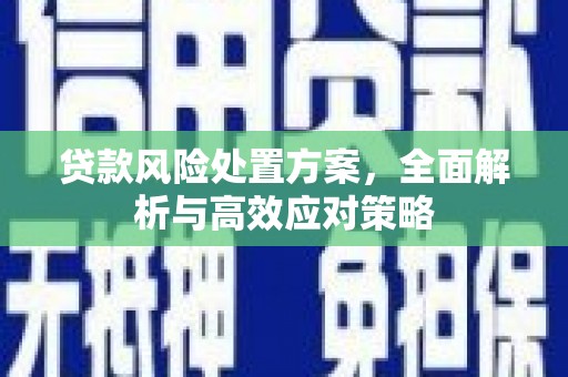 湖滨贷款风险处置方案，全面解析与高效应对策略
