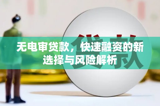 湖滨无电审贷款，快速融资的新选择与风险解析