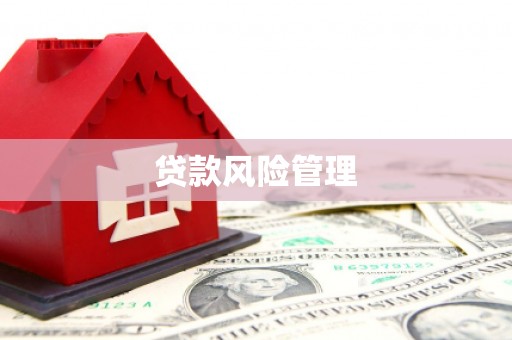 湖滨贷款风险管理