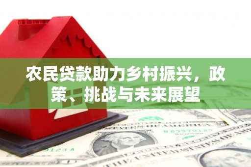 湖滨农民贷款助力乡村振兴，政策、挑战与未来展望
