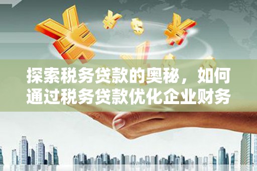 湖滨探索税务贷款的奥秘，如何通过税务贷款优化企业财务