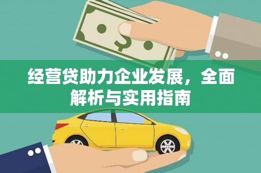 湖滨经营贷助力企业发展，全面解析与实用指南