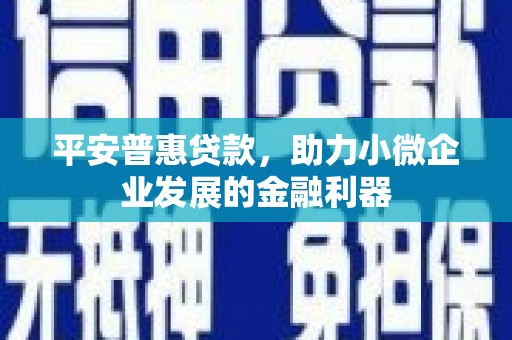 湖滨平安普惠贷款，助力小微企业发展的金融利器