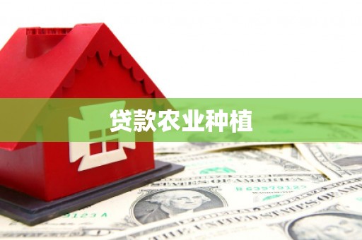 湖滨贷款农业种植