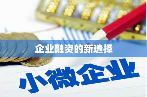 湖滨企业融资的新选择