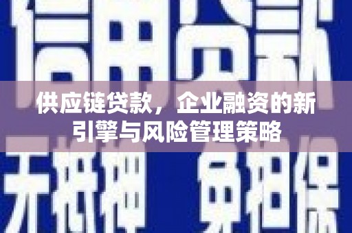 湖滨供应链贷款，企业融资的新引擎与风险管理策略