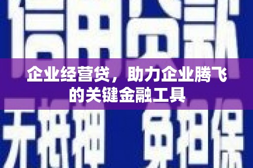 湖滨企业经营贷，助力企业腾飞的关键金融工具