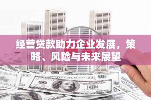 湖滨经营贷款助力企业发展，策略、风险与未来展望