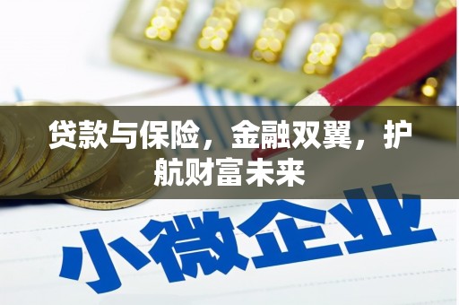 湖滨贷款与保险，金融双翼，护航财富未来