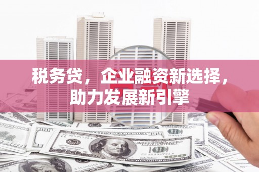 湖滨税务贷，企业融资新选择，助力发展新引擎