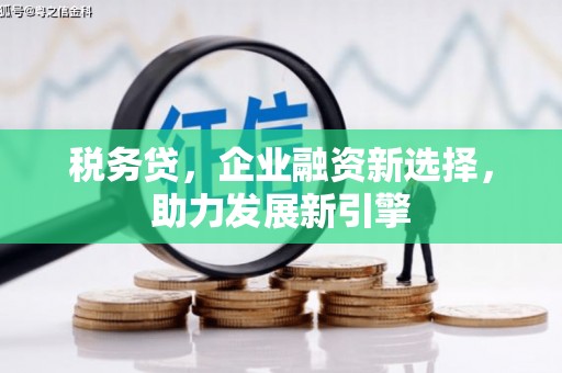 湖滨税务贷，企业融资新选择，助力发展新引擎