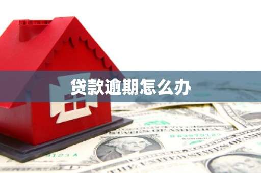 湖滨贷款逾期怎么办