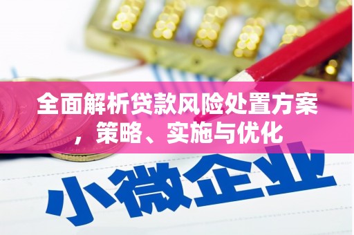 湖滨全面解析贷款风险处置方案，策略、实施与优化