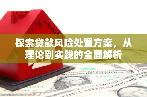 湖滨探索贷款风险处置方案，从理论到实践的全面解析