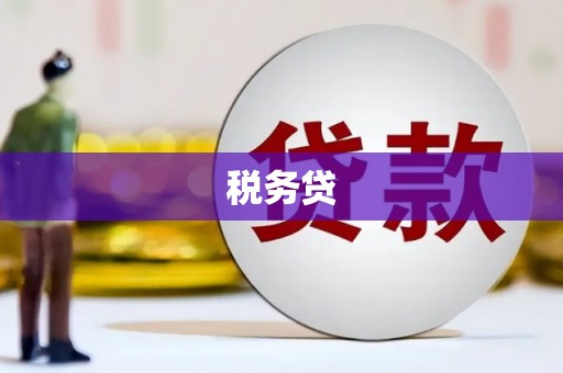 湖滨税务贷