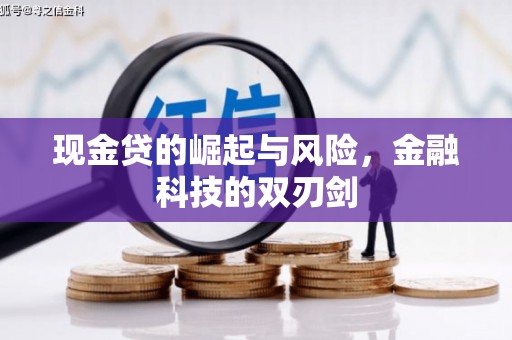 湖滨现金贷的崛起与风险，金融科技的双刃剑