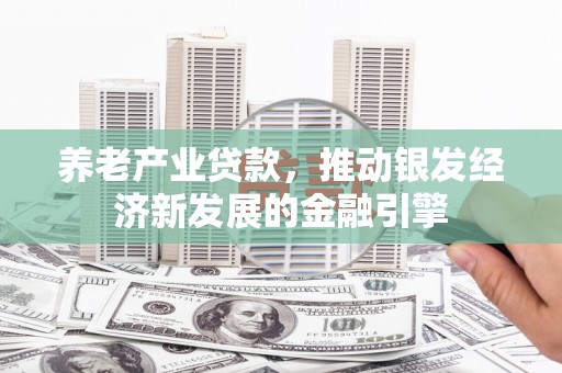 湖滨养老产业贷款，推动银发经济新发展的金融引擎