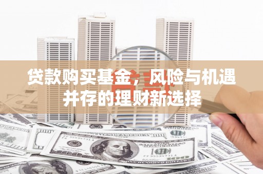 湖滨贷款购买基金，风险与机遇并存的理财新选择