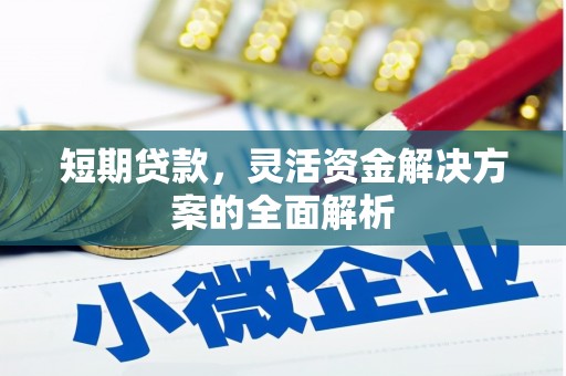 湖滨短期贷款，灵活资金解决方案的全面解析