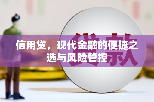 湖滨信用贷，现代金融的便捷之选与风险管控