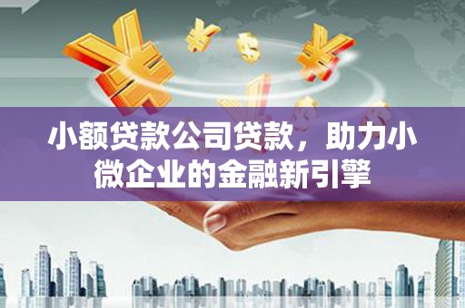 湖滨小额贷款公司贷款，助力小微企业的金融新引擎