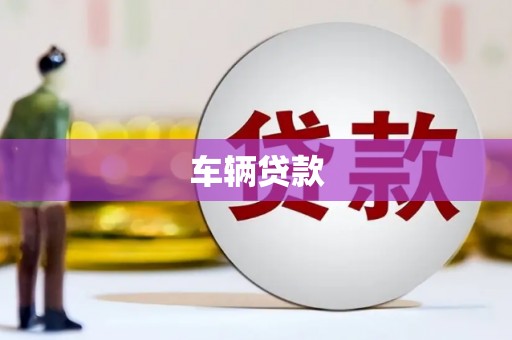 湖滨车辆贷款