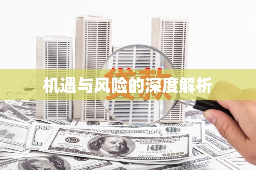 湖滨机遇与风险的深度解析