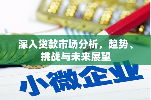 湖滨深入贷款市场分析，趋势、挑战与未来展望